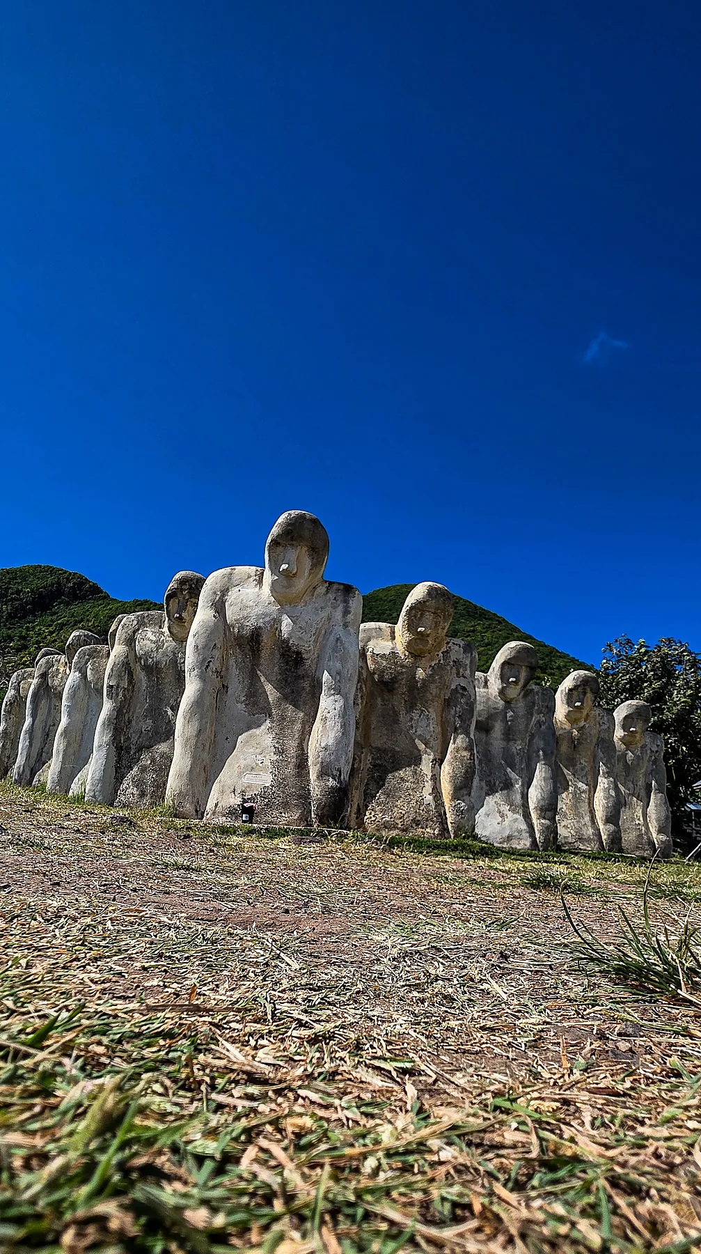 Pomnik Cap 110 na Martynice